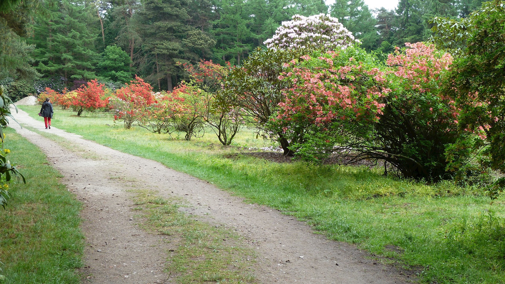 P1160049.jpg